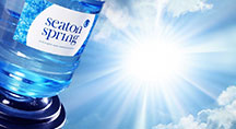 Seaton Water Bottle Sunshine